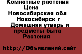 Комнатные растения › Цена ­ 100 - Новосибирская обл., Новосибирск г. Домашняя утварь и предметы быта » Растения   
